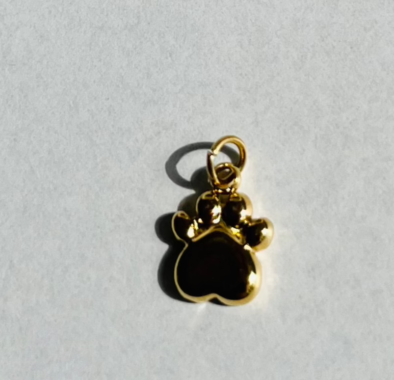 Paw Charm