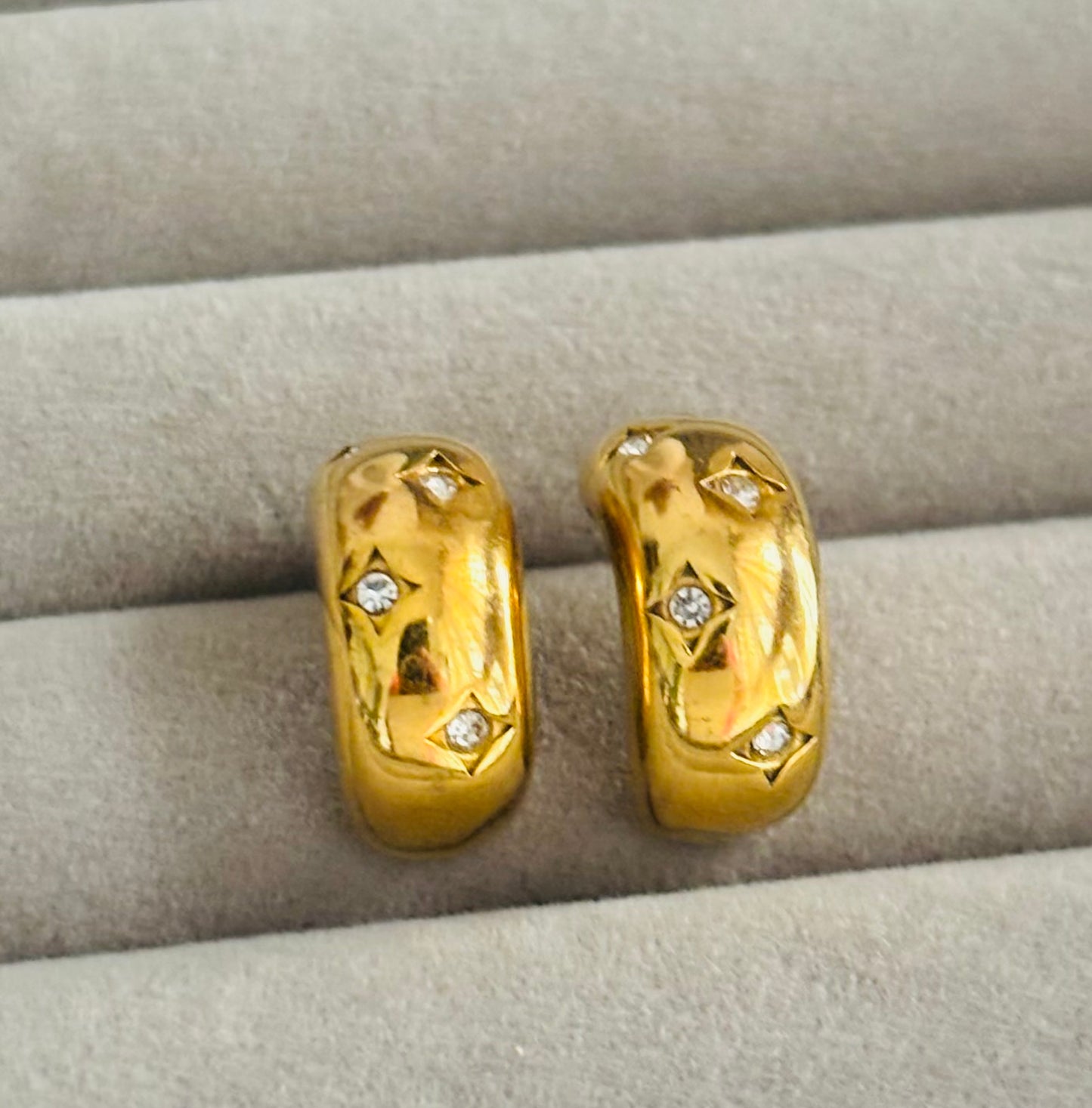 Bottega Studded Earrings