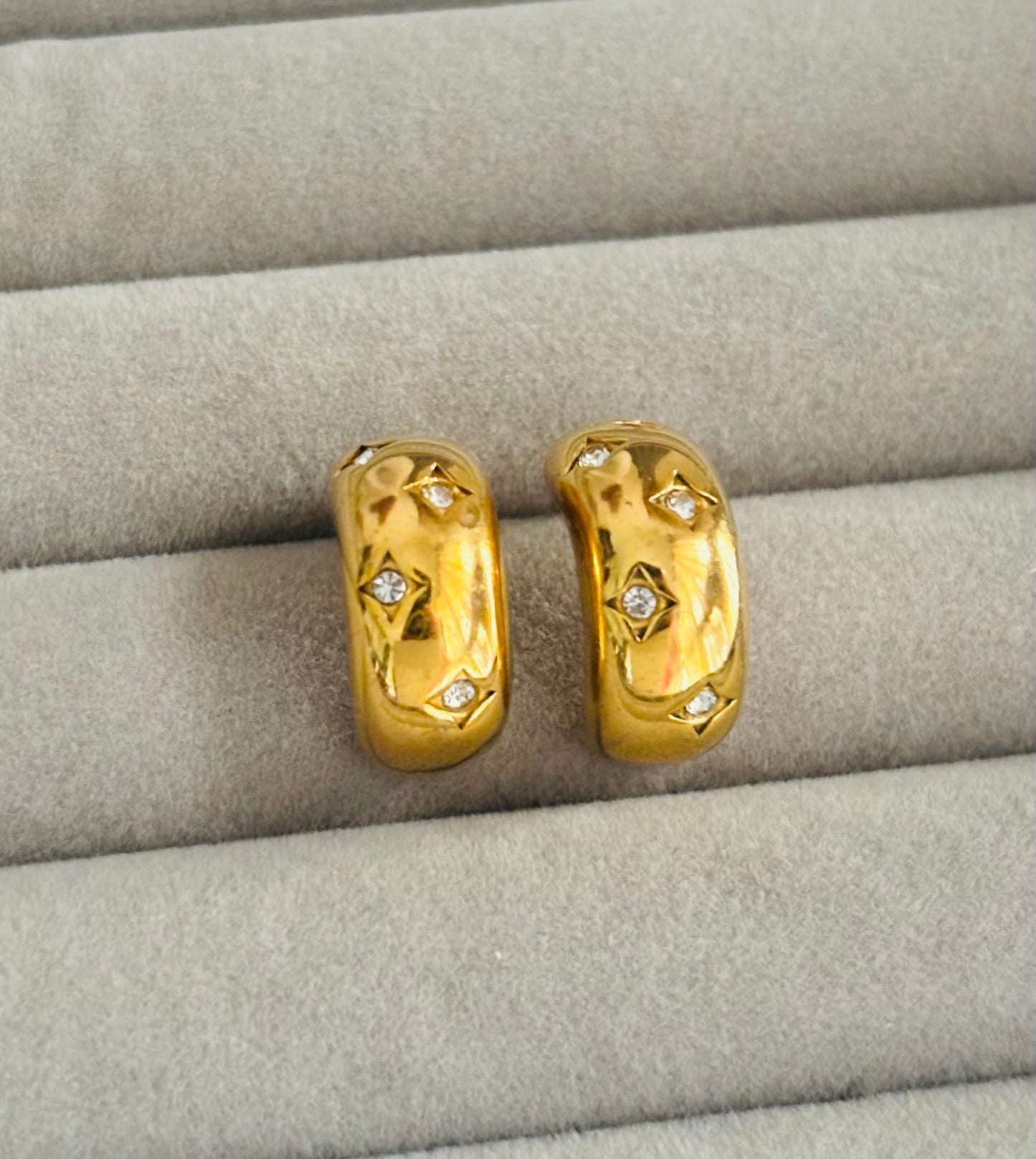 Bottega Studded Earrings