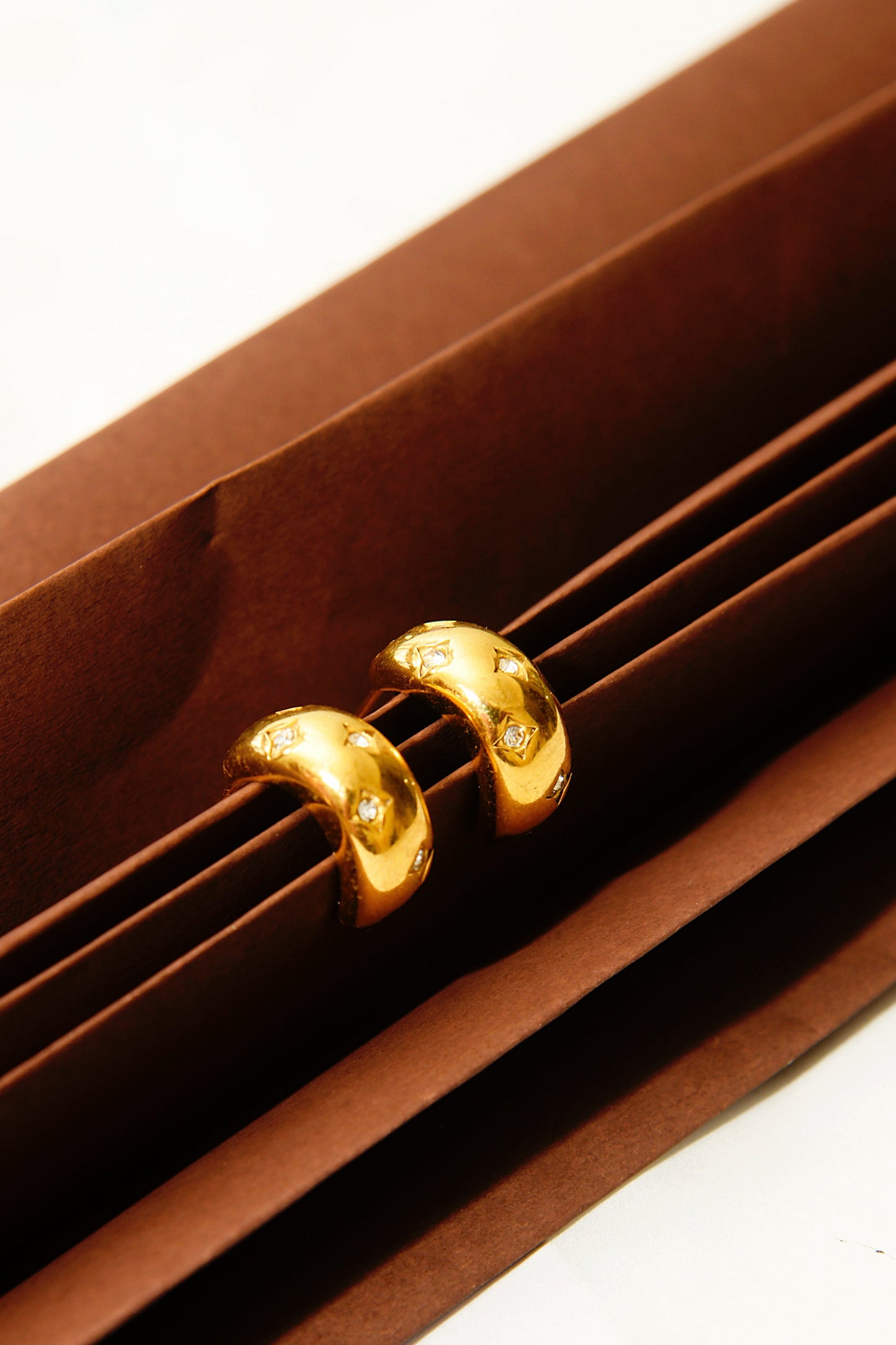 Bottega Studded Earrings